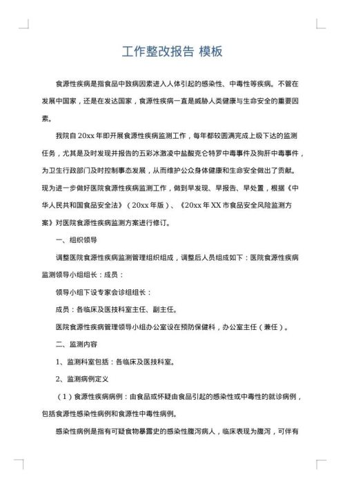 工作整改报告