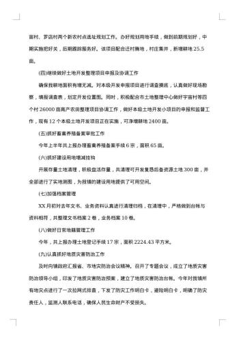 国土城建规划上半年工作总结