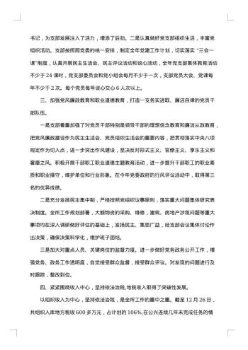 支部年度工作报告
