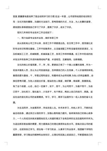 工程师专业技术工作总结