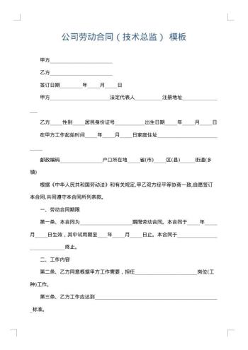 公司劳动合同(技术总监)