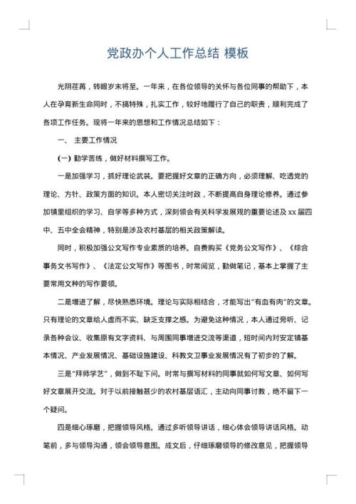党政办个人工作总结