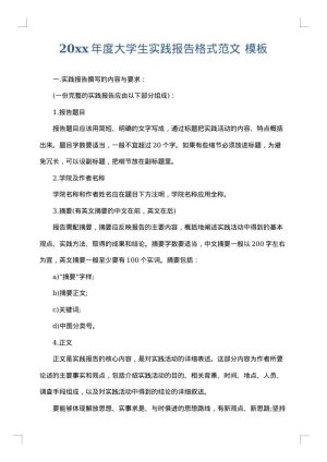2025年度大学生实践报告格式范文