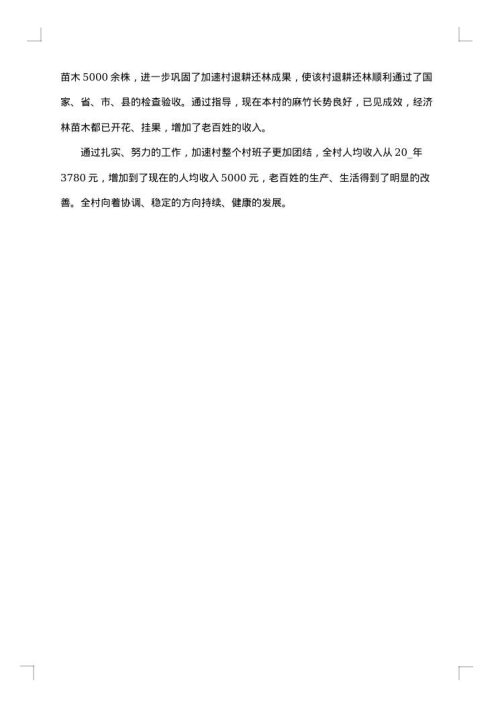 2025年村干部个人总结范文