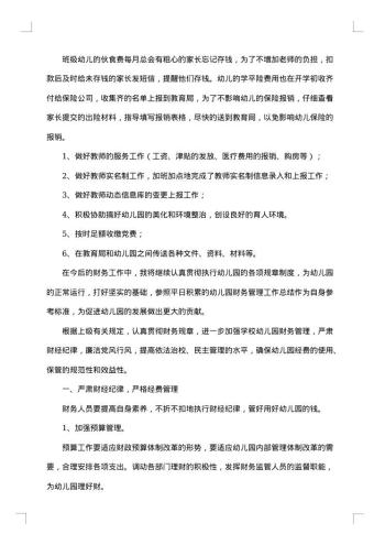乡中心幼儿园幼儿园财务工作总结范文