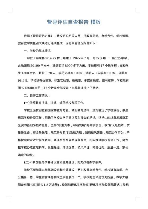 督导评估自查报告
