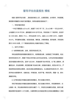 督导评估自查报告
