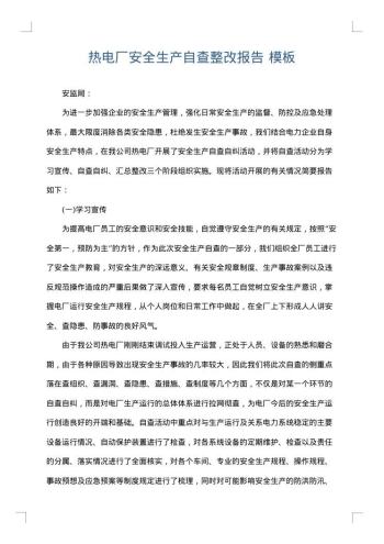 热电厂安全生产自查整改报告