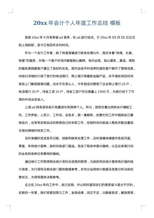2025年会计个人年度工作总结