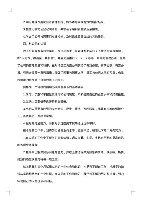 财务出纳试用期个人工作总结