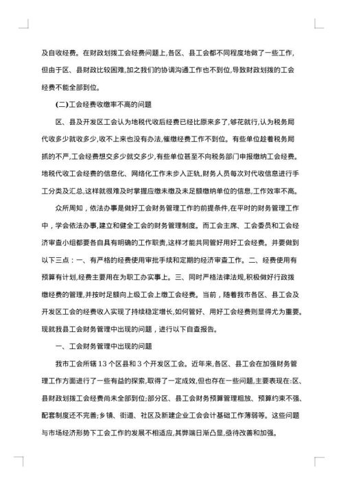 工会财务自查报告