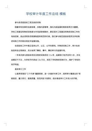 学校审计年度工作总结