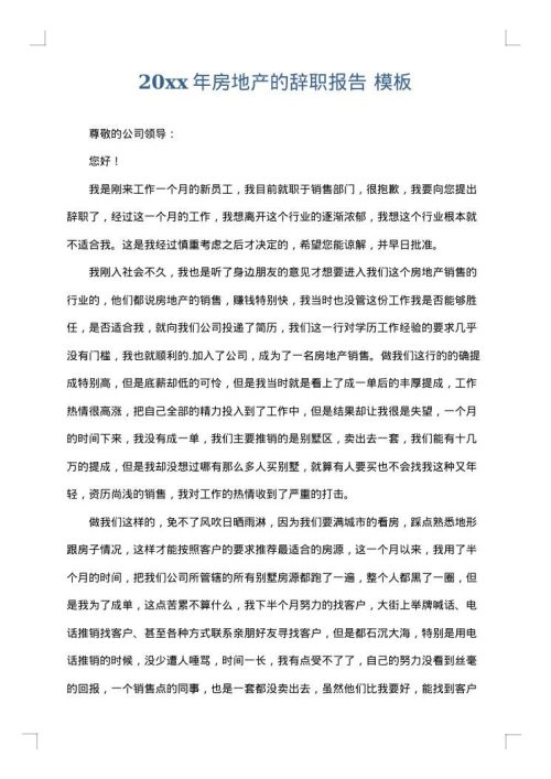 2025年房地产的辞职报告