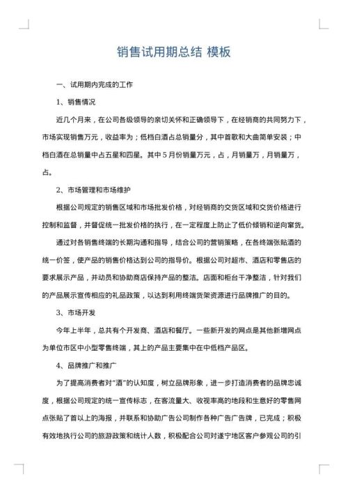 销售试用期总结