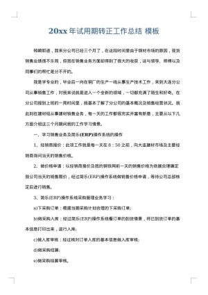 2025年试用期转正工作总结