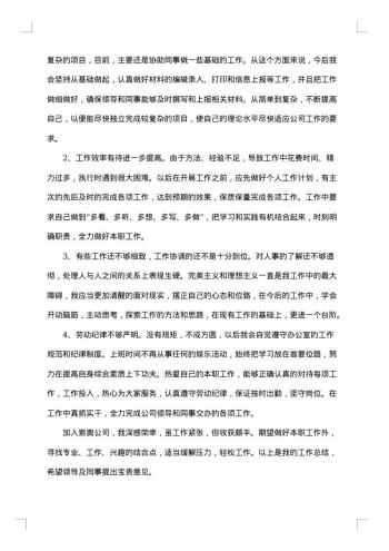 试用期工作总结文员