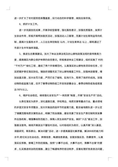 乡镇政府下半年工作总结