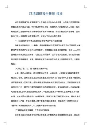 环境调研报告集锦