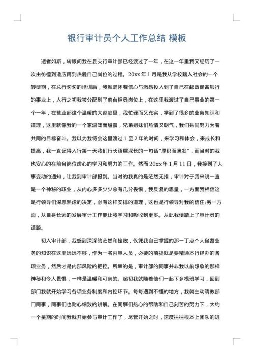 银行审计员个人工作总结