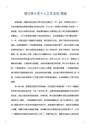 银行审计员个人工作总结
