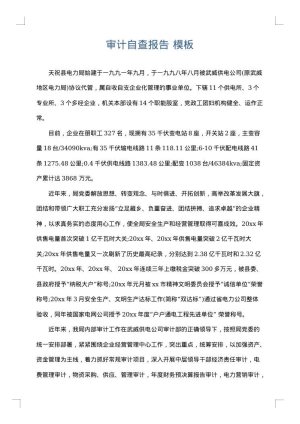 审计自查报告