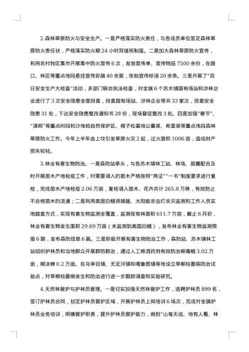 林业局上半年工作总结范文