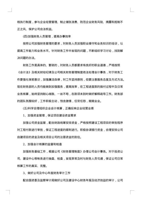 财务总监工作个人总结