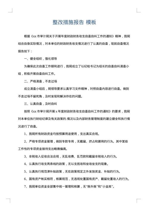 整改措施报告