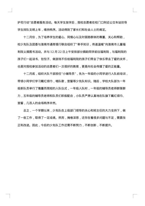 2025年少先队年度总结