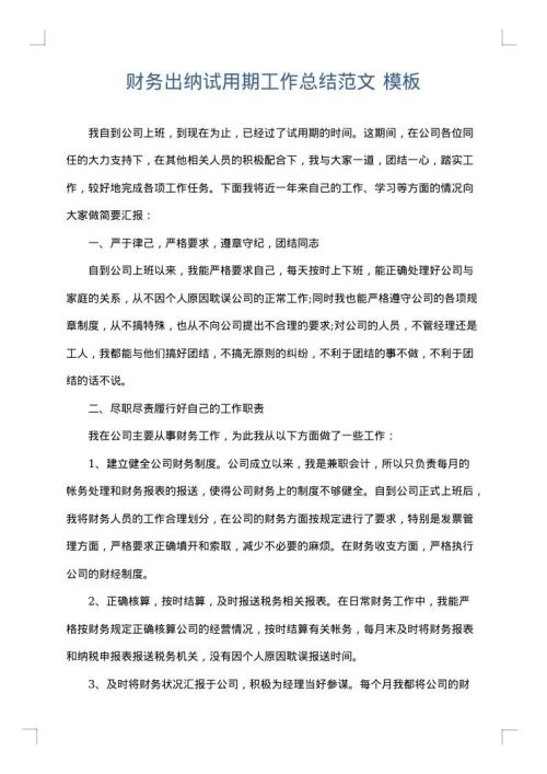 财务出纳试用期工作总结范文