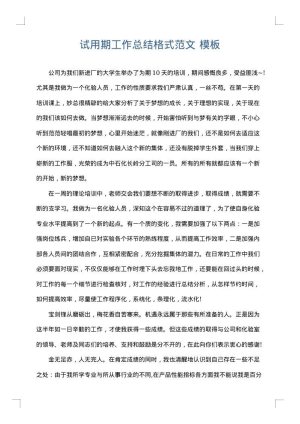 试用期工作总结格式范文