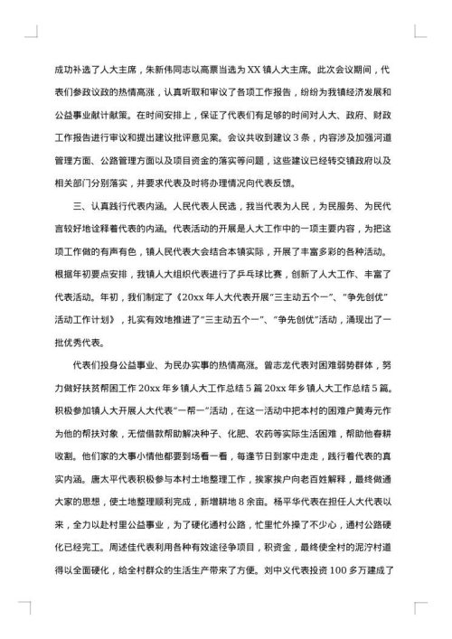 乡镇人大年终工作总结及工作计划