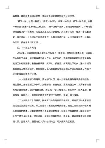 述廉述职报告范文20xx年