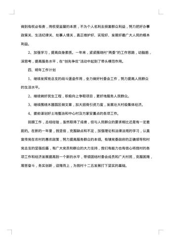 村主任述职述廉报告