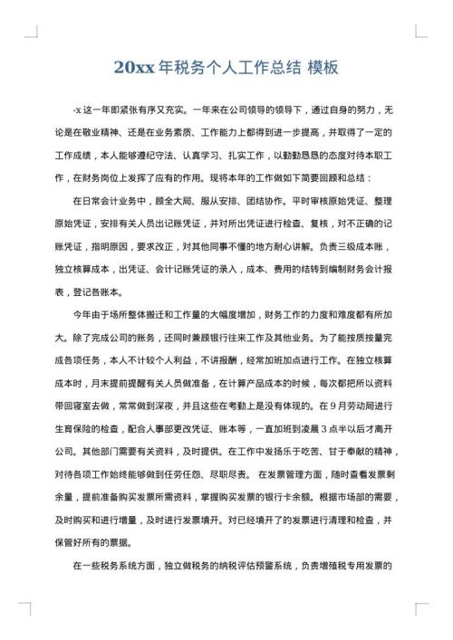 2025年税务个人工作总结