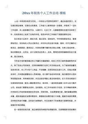 2025年税务个人工作总结