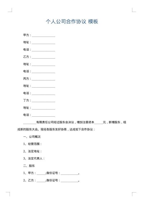 个人公司合作协议
