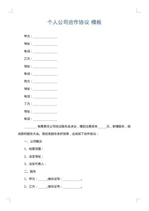 个人公司合作协议