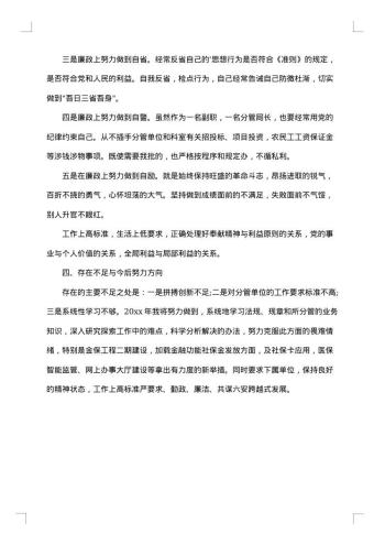 述职述德述廉报告范文