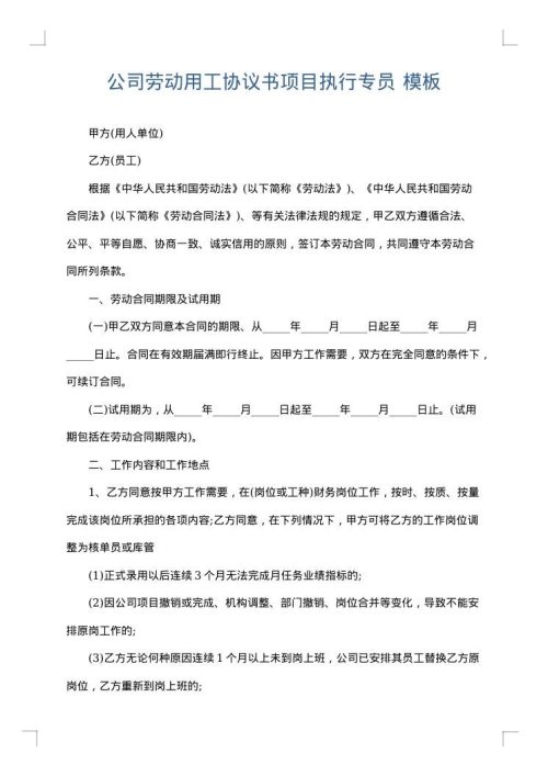 公司劳动用工协议书项目执行专员