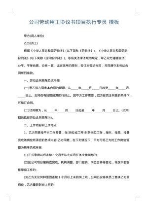 公司劳动用工协议书项目执行专员