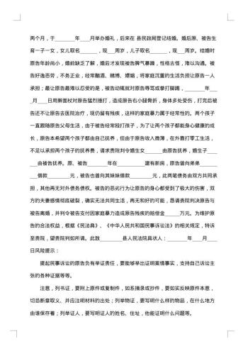 离婚时的债务的起诉书