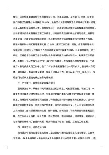 述职述责述廉报告
