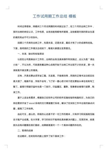 工作试用期工作总结