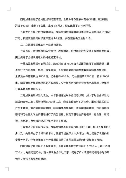 乡镇政府下半年工作总结