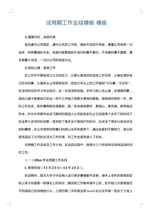 试用期工作总结模板