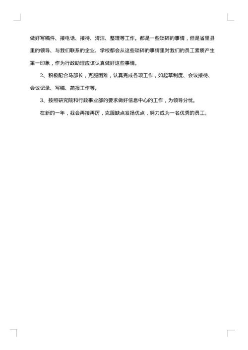 2025年行政总监年终总结