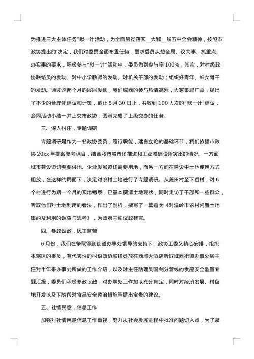 2025年政协工作总结范文