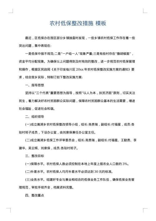 农村低保整改措施
