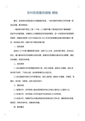 农村低保整改措施